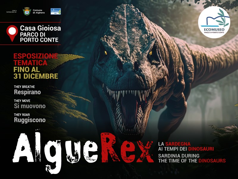 Alguerex