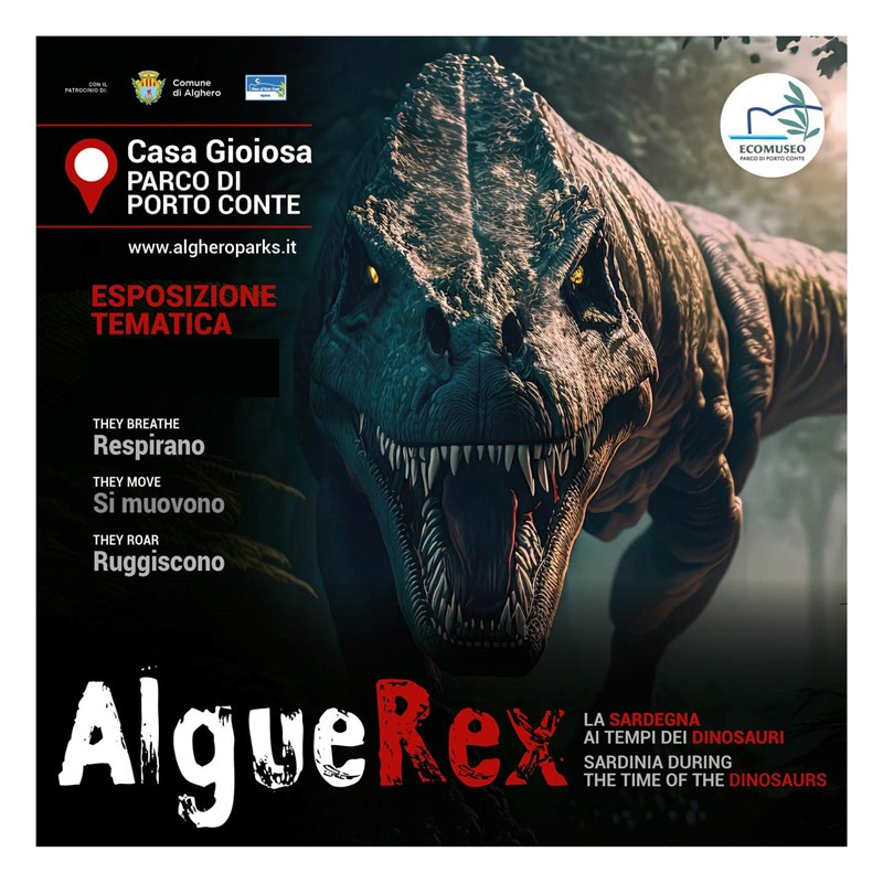 Alguerex