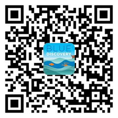QR Code App Store