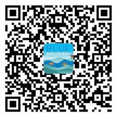 QR Code Google Play