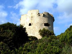 torre_tramariglio(1)