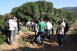 Visitatori nella foresta demaniale di Porto Conte con le guide del parco